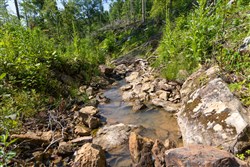 property photo for Creek Hollow Phase II Tract 74, 19.03 acres for sale in Rockcastle County, Kentucky