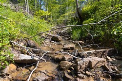 property photo for Creek Hollow Phase II Tract 74, 19.03 acres for sale in Rockcastle County, Kentucky