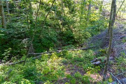 property photo for Creek Hollow Phase II Tract 74, 19.03 acres for sale in Rockcastle County, Kentucky