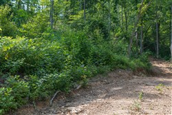 property photo for Creek Hollow Phase II Tract 76, 16.28 acres for sale in Rockcastle County, Kentucky