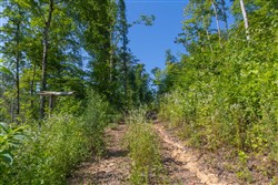 property photo for Creek Hollow Phase II Tract 78, 15.95 acres for sale in Rockcastle County, Kentucky