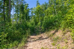property photo for Creek Hollow Phase II Tract 78, 15.95 acres for sale in Rockcastle County, Kentucky