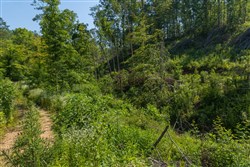 property photo for Creek Hollow Phase II Tract 78, 15.95 acres for sale in Rockcastle County, Kentucky