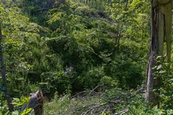 property photo for Creek Hollow Phase II Tract 78, 15.95 acres for sale in Rockcastle County, Kentucky