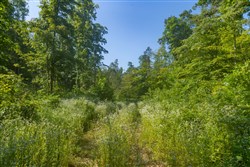 property photo for Creek Hollow Phase II Tract 78, 15.95 acres for sale in Rockcastle County, Kentucky