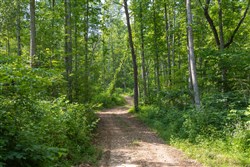 property photo for Creek Hollow Phase II Tract 79, 17.65 acres for sale in Rockcastle County, Kentucky