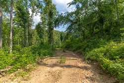 property photo for Creek Hollow Phase II Tract 79, 17.65 acres for sale in Rockcastle County, Kentucky