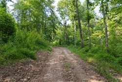 property photo for Creek Hollow Phase II Tract 80, 13.55 acres for sale in Rockcastle County, Kentucky