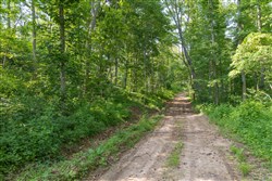property photo for Creek Hollow Phase II Tract 80, 13.55 acres for sale in Rockcastle County, Kentucky