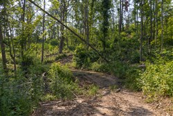 property photo for Creek Hollow Phase II Tract 81, 6.5 acres for sale in Rockcastle County, Kentucky