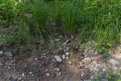 property photo for Creek Hollow Phase II Tract 81, 6.5 acres for sale in Rockcastle County, Kentucky
