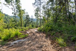 property photo for Creek Hollow Phase II Tract 83, 8.62 acres for sale in Rockcastle County, Kentucky