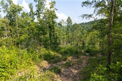 property photo for Creek Hollow Phase II Tract 83, 8.62 acres for sale in Rockcastle County, Kentucky