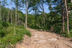 property photo for Creek Hollow Phase II Tract 83, 8.62 acres for sale in Rockcastle County, Kentucky