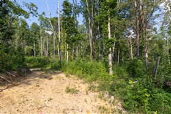 property photo for Creek Hollow Phase II Tract 83, 8.62 acres for sale in Rockcastle County, Kentucky