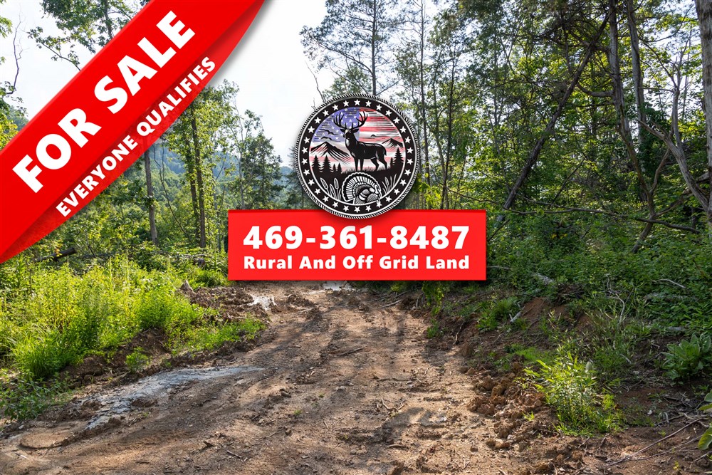 8.62 acre rural land tract for sale at Creek Hollow Phase II Tract 83 in Rockcastle County, Kentucky