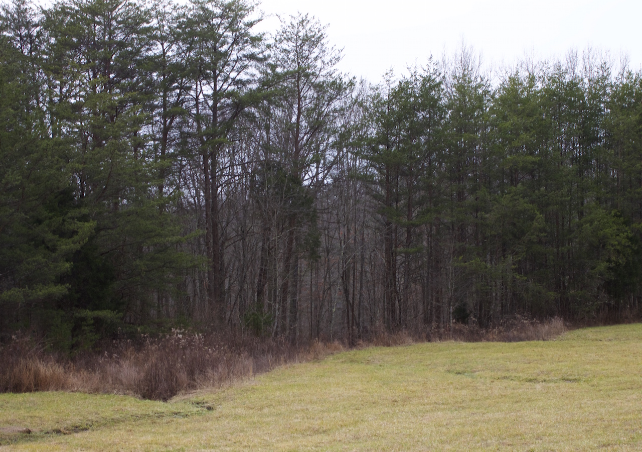 Tract 4 at Majestic Rock Ranch in Rockcastle County, Kentucky
