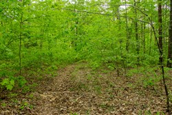 property photo for Trails End Tract 14, 11.51 acres for sale in Rockcastle County, Kentucky
