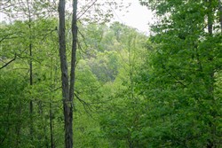 property photo for Trails End Tract 21, 13.18 acres for sale in Rockcastle County, Kentucky