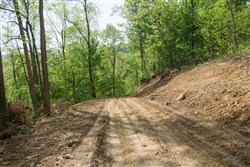property photo for Trails End Tract 21, 13.18 acres for sale in Rockcastle County, Kentucky