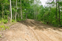 property photo for Trails End Tract 21, 13.18 acres for sale in Rockcastle County, Kentucky