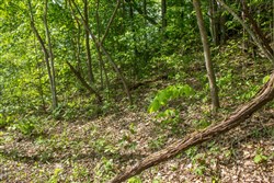 property photo for Trails End Tract 21, 13.18 acres for sale in Rockcastle County, Kentucky