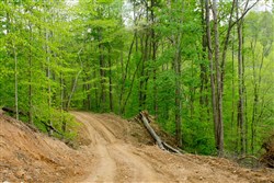 property photo for Trails End Tract 22, 10.35 acres for sale in Rockcastle County, Kentucky
