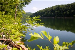 property photo for Bluewater Ridge Tract 15, 3.25 acres for sale in Wayne County, Kentucky