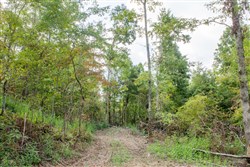 property photo for Buck Run Ridge Tract 16, 10.14 acres for sale in Wayne County, Kentucky