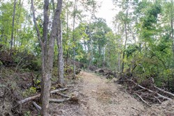 property photo for Buck Run Ridge Tract 16, 10.14 acres for sale in Wayne County, Kentucky