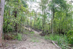 property photo for Buck Run Ridge Tract 16, 10.14 acres for sale in Wayne County, Kentucky