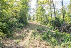 property photo for Buck Run Ridge Tract 17, 10.14 acres for sale in Wayne County, Kentucky