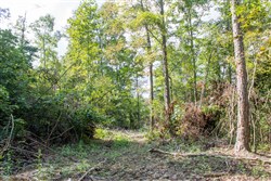 property photo for Buck Run Ridge Tract 17, 10.14 acres for sale in Wayne County, Kentucky