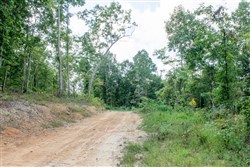 property photo for Buck Run Ridge Tract 23, 8.76 acres for sale in Wayne County, Kentucky