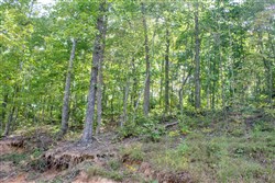 property photo for Buck Run Ridge Tract 23, 8.76 acres for sale in Wayne County, Kentucky