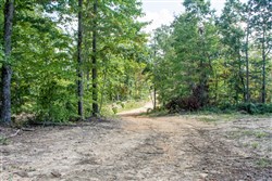 property photo for Buck Run Ridge Tract 3, 10.4 acres for sale in Wayne County, Kentucky
