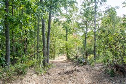 property photo for Buck Run Ridge Tract 3, 10.4 acres for sale in Wayne County, Kentucky