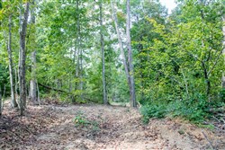 property photo for Buck Run Ridge Tract 3, 10.4 acres for sale in Wayne County, Kentucky