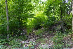 property photo for Poppys Point Tract 5, 6.25 acres for sale in Wayne County, Kentucky