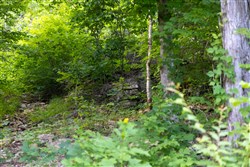 property photo for Poppys Point Tract 5, 6.25 acres for sale in Wayne County, Kentucky