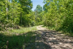 property photo for Riverbend Tract 12, 5.15 acres for sale in Wayne County, Kentucky