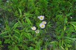 property photo for Riverbend Tract 12, 5.15 acres for sale in Wayne County, Kentucky