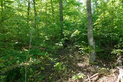 property photo for Riverbend Tract 12, 5.15 acres for sale in Wayne County, Kentucky