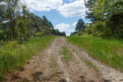 property photo for Riverbend Tract 29, 3.03 acres for sale in Wayne County, Kentucky