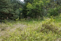 property photo for Riverbend Tract 29, 3.03 acres for sale in Wayne County, Kentucky