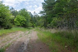 property photo for Riverbend Tract 29, 3.03 acres for sale in Wayne County, Kentucky