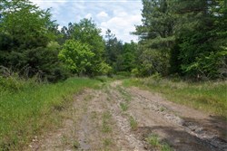 property photo for Riverbend Tract 29, 3.03 acres for sale in Wayne County, Kentucky