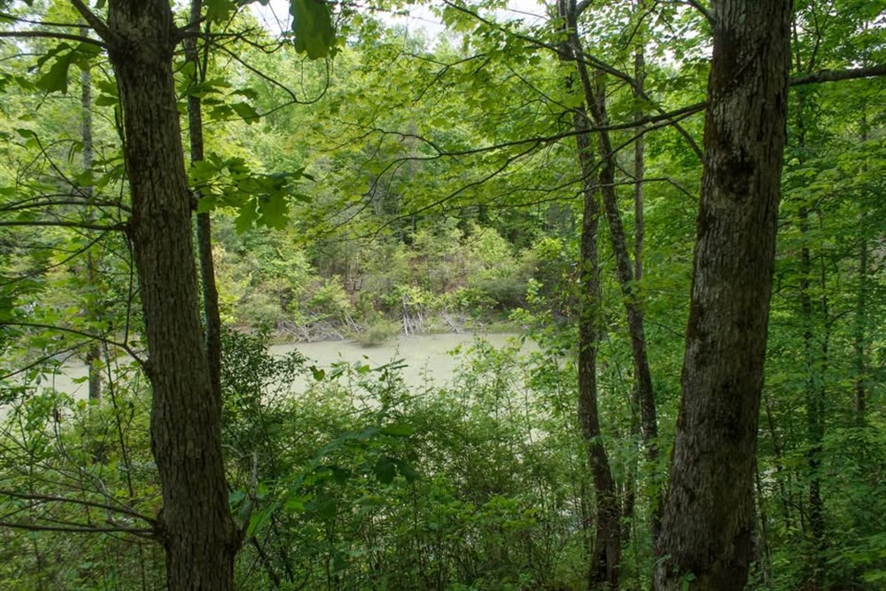 10.05 acre rural land tract for sale at Riverbend Tract 3 in Wayne County, Kentucky