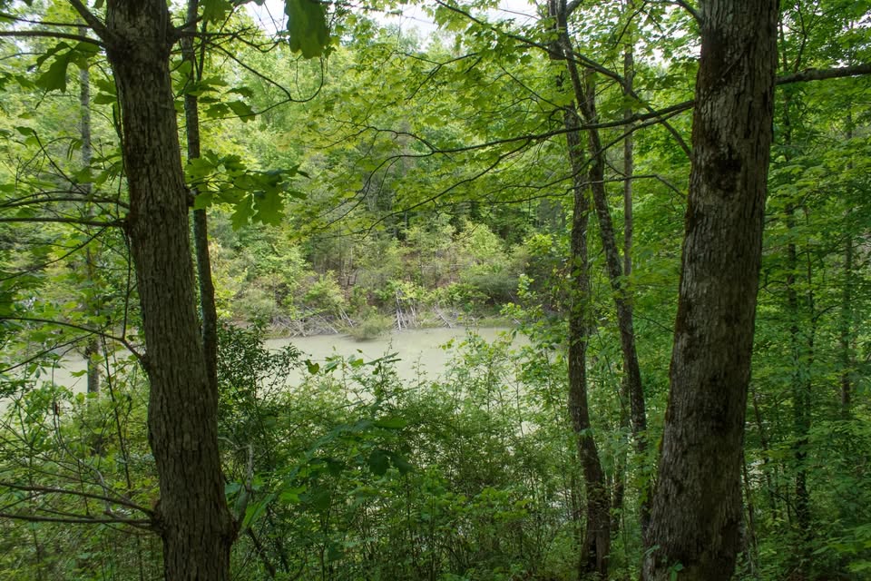 property photo for Riverbend Tract 3, 10.05 acres for sale in Wayne County, Kentucky