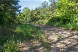 property photo for Riverbend Tract 30, 3.29 acres for sale in Wayne County, Kentucky